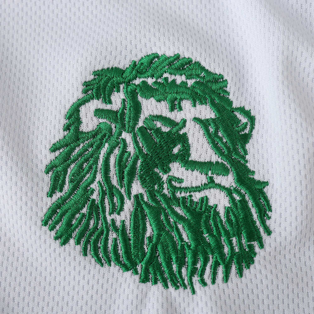 2002 season Cameroonretro Fan version
