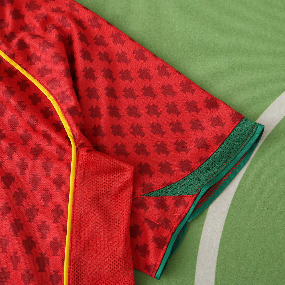 2004 season Portugal home retro Fan version