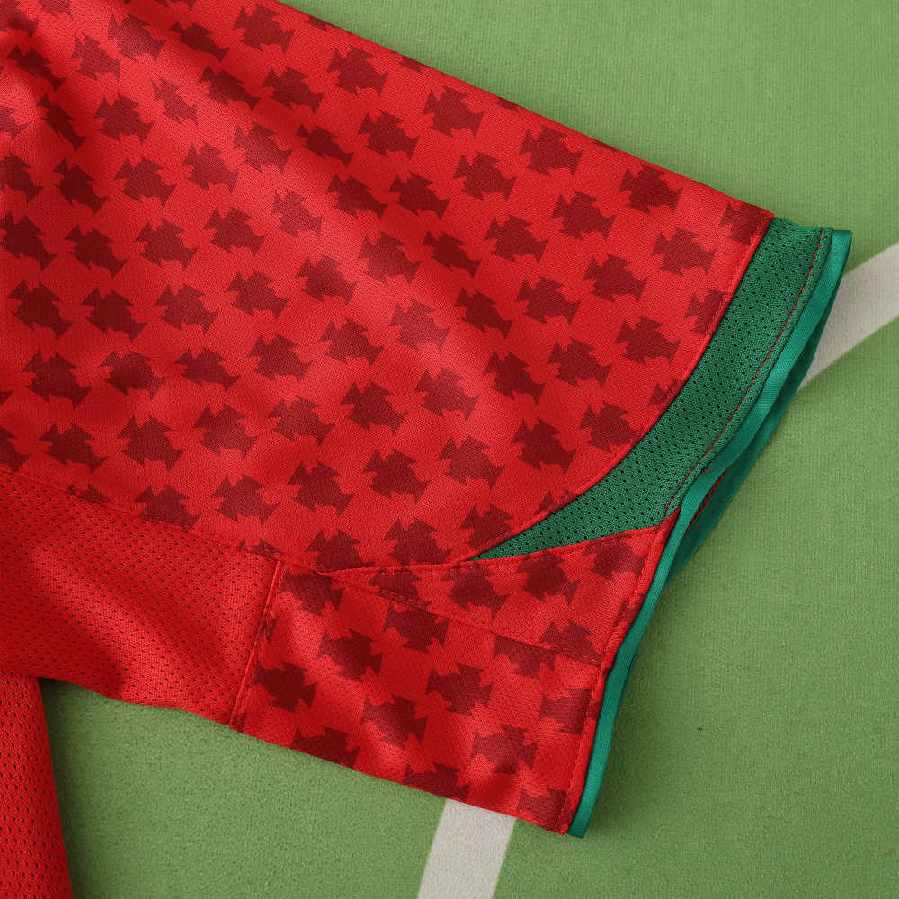 2004 season Portugal home retro Fan version