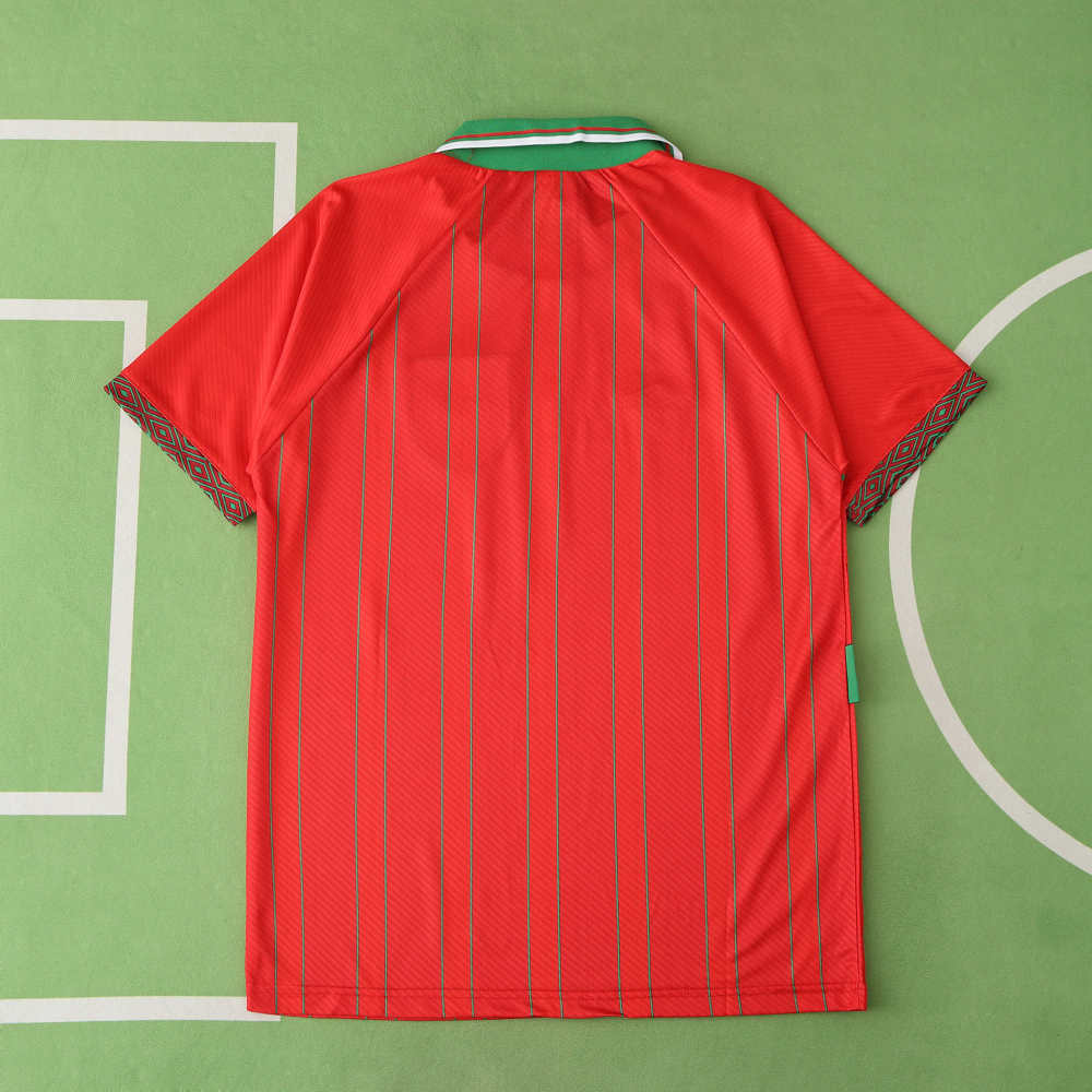 9496 season Scotland home retro Fan version