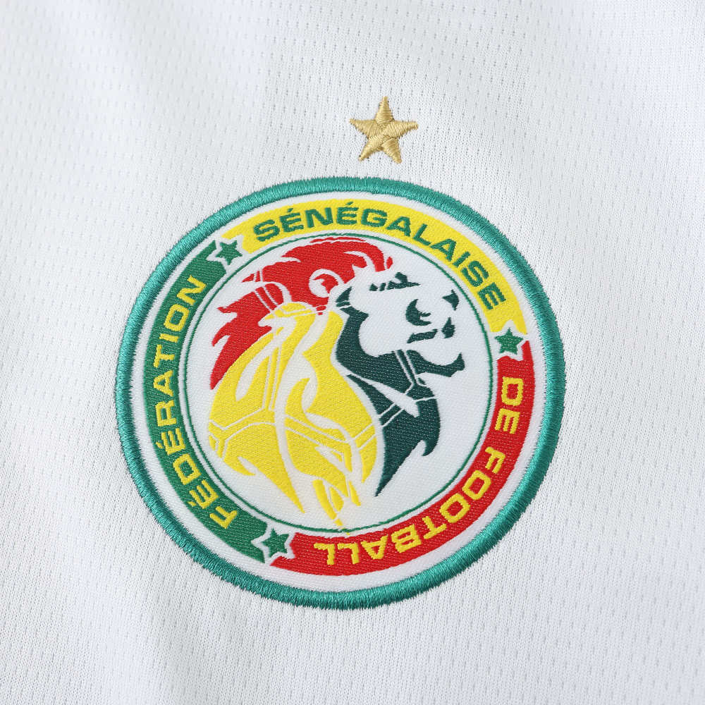 2425 season Senegal home Fan version