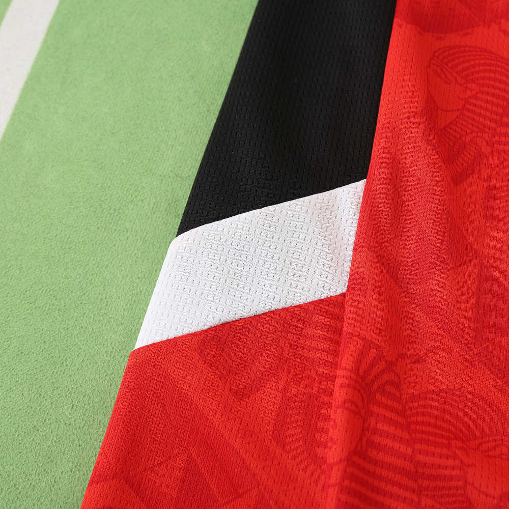 2425 season Egypt home Fan version