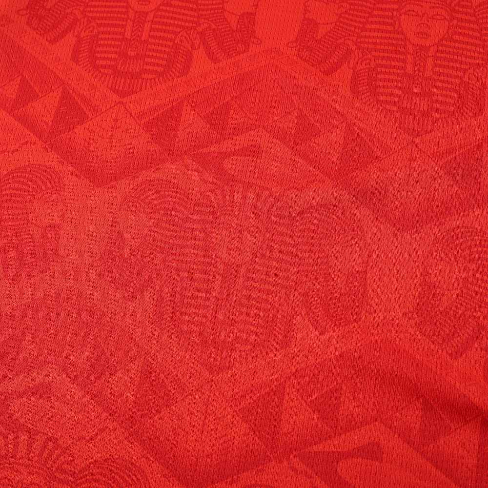 2425 season Egypt home Fan version