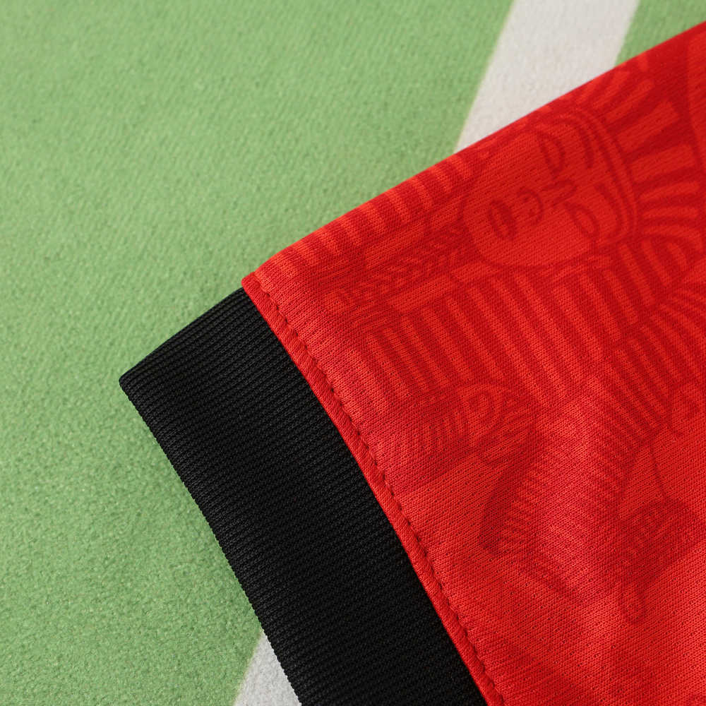 2425 season Egypt home Fan version