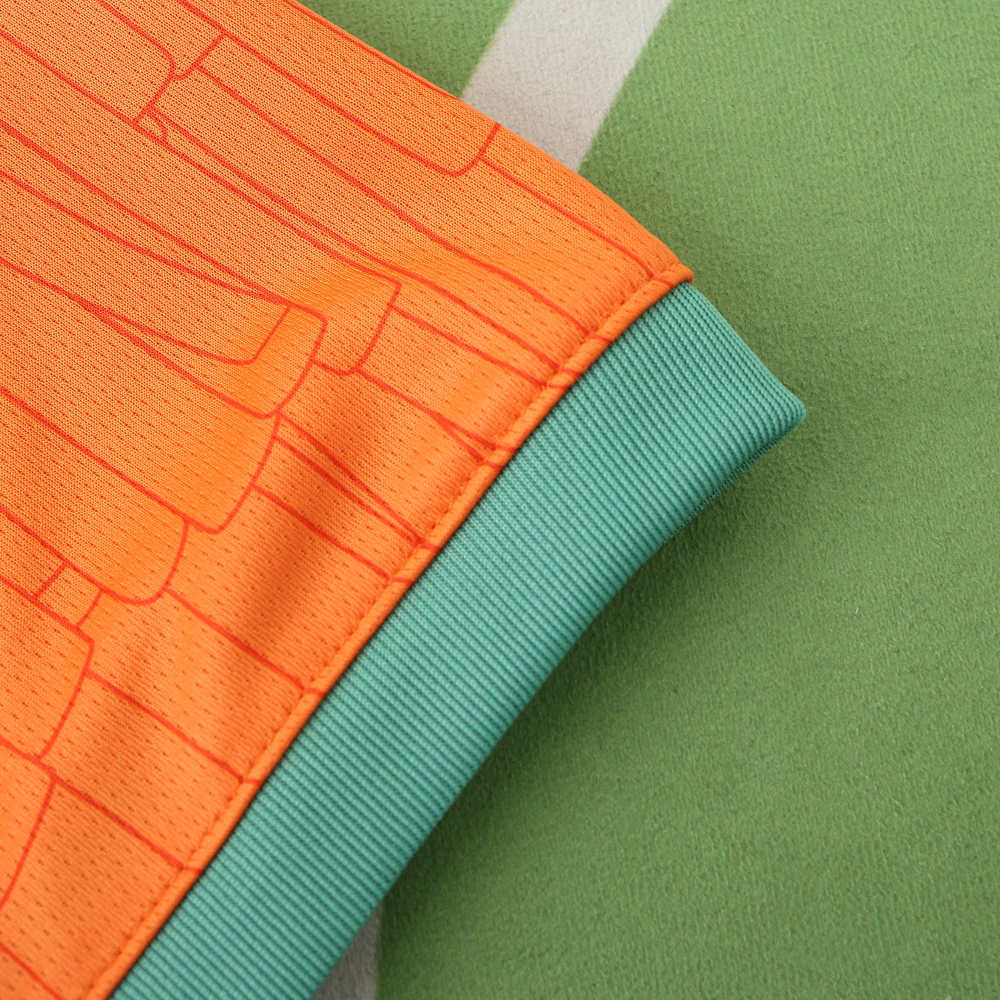 2425 season Côte d'Ivoire home Fan version