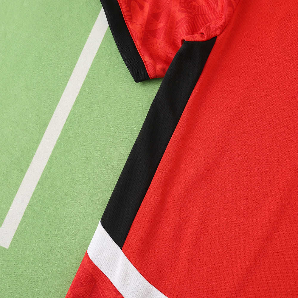2425 season Egypt home Fan version