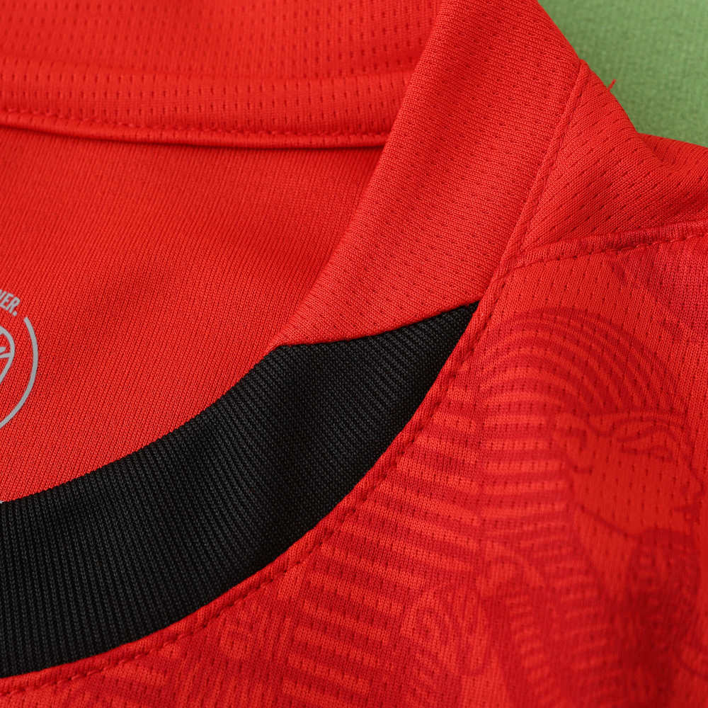 2425 season Egypt home Fan version