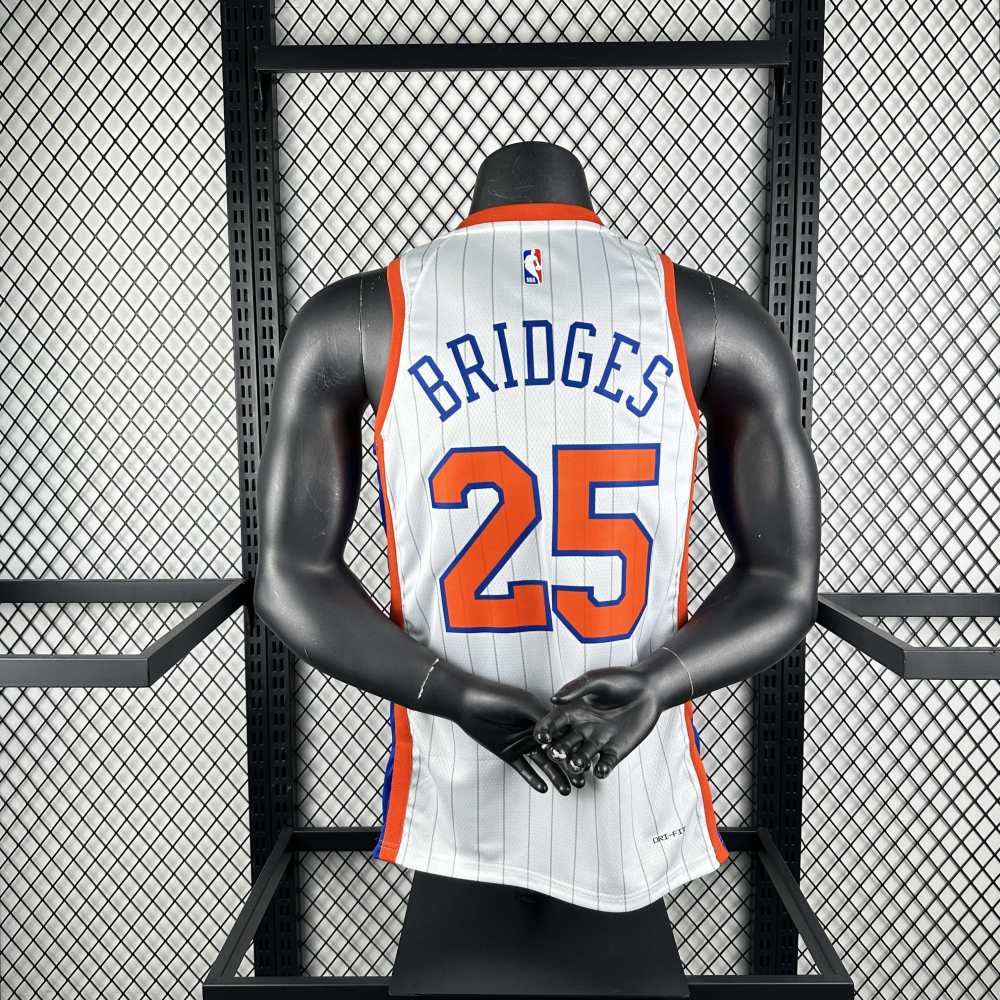 NBA New York Knicks 25#BRIOGES