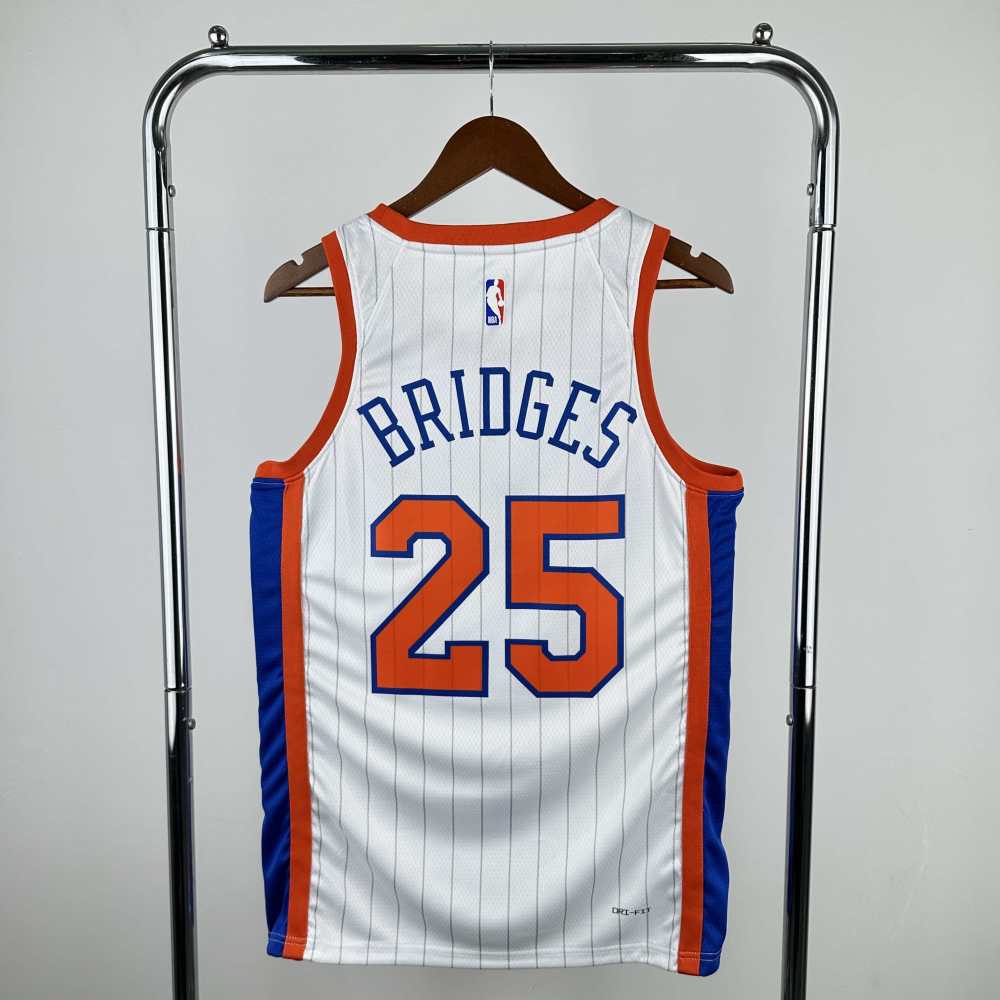 NBA New York Knicks 25#BRIOGES