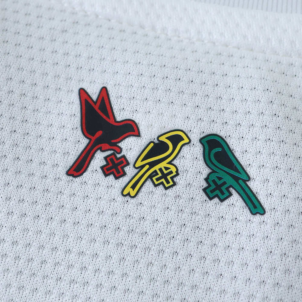 2425 season AFC Ajax Concept version Fan version