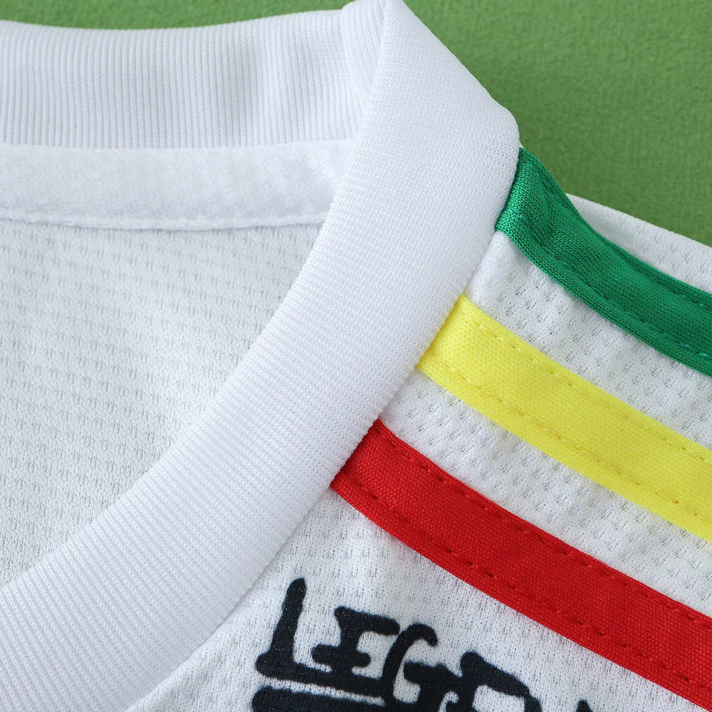 2425 season AFC Ajax Concept version Fan version