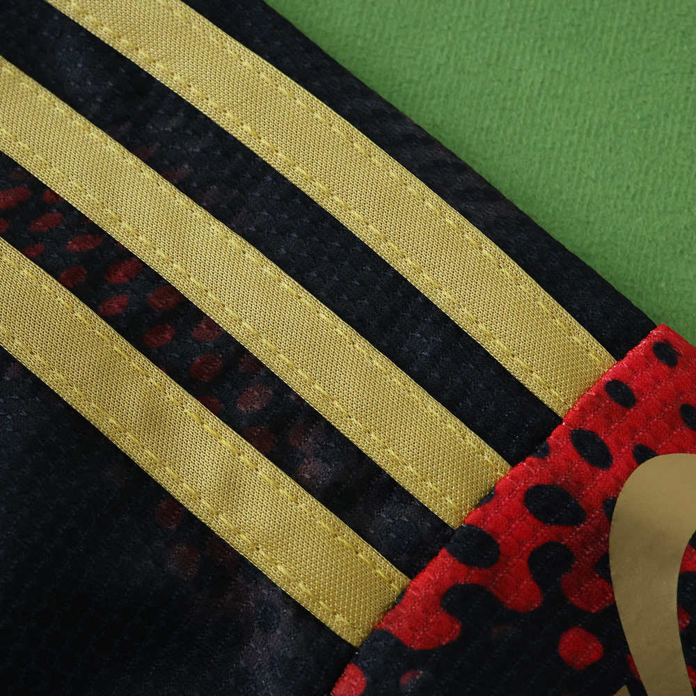 2526 season Bayer 04 Leverkusen Concept version Fan version