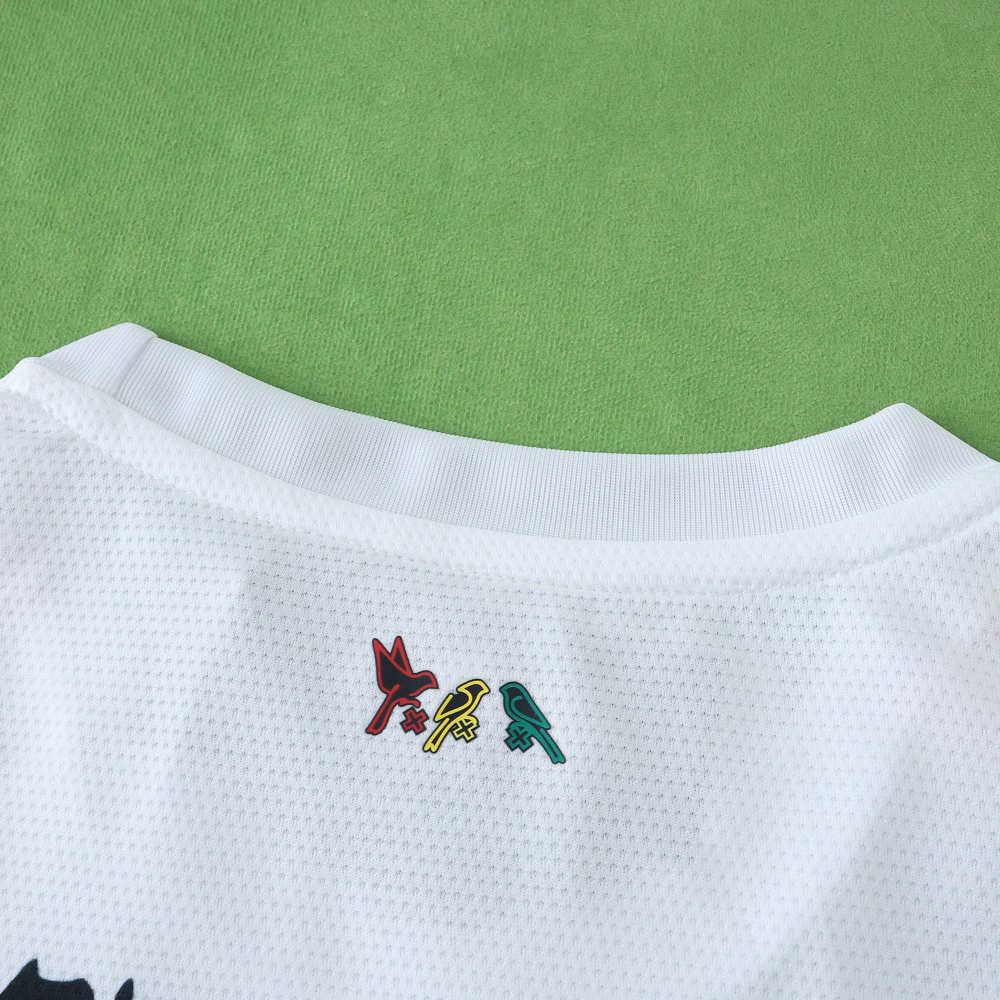 2425 season AFC Ajax Concept version Fan version