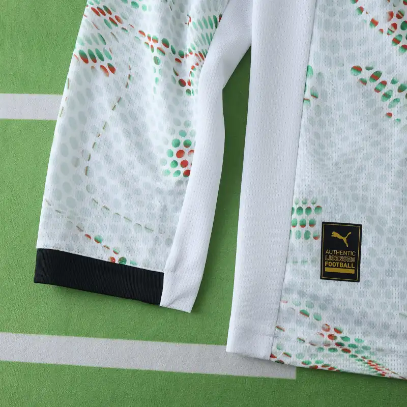 2526 season Portugal away Long sleeved Fan version