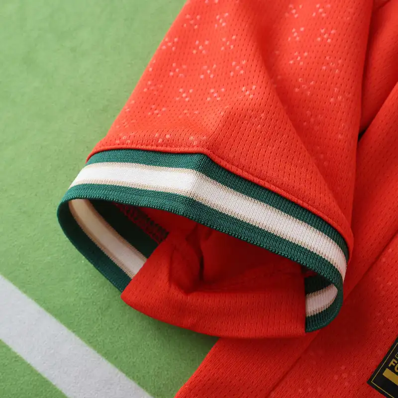 2526 season Portugal home Long sleeved Fan version