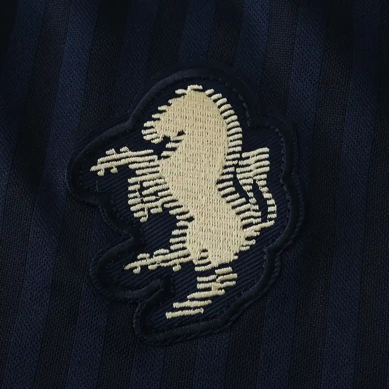 2425 season Juventus F.C. Concept version Fan version