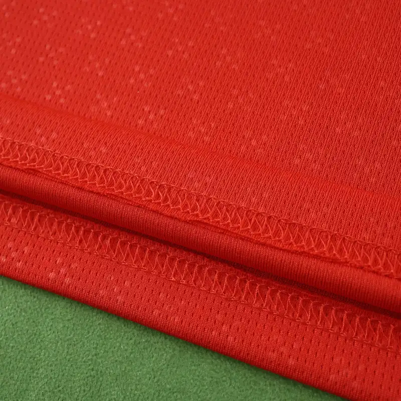 2526 season Portugal home Long sleeved Fan version