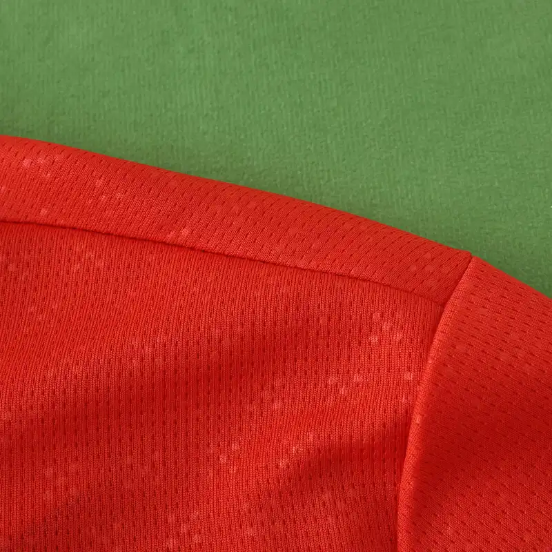 2526 season Portugal home Long sleeved Fan version