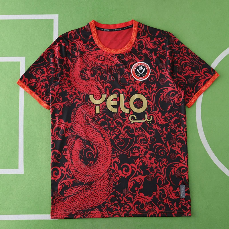 2526 season Sheffield United F.C. Concept version Fan version