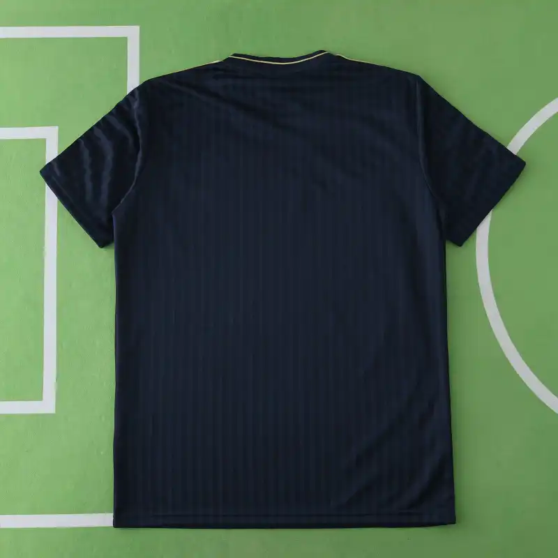2425 season Juventus F.C. Concept version Fan version