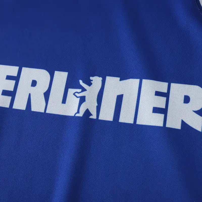 2526 season Hertha BSC Concept version Fan version