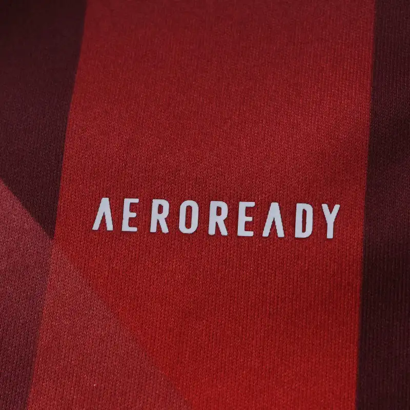 2526 season Germany away Fan version