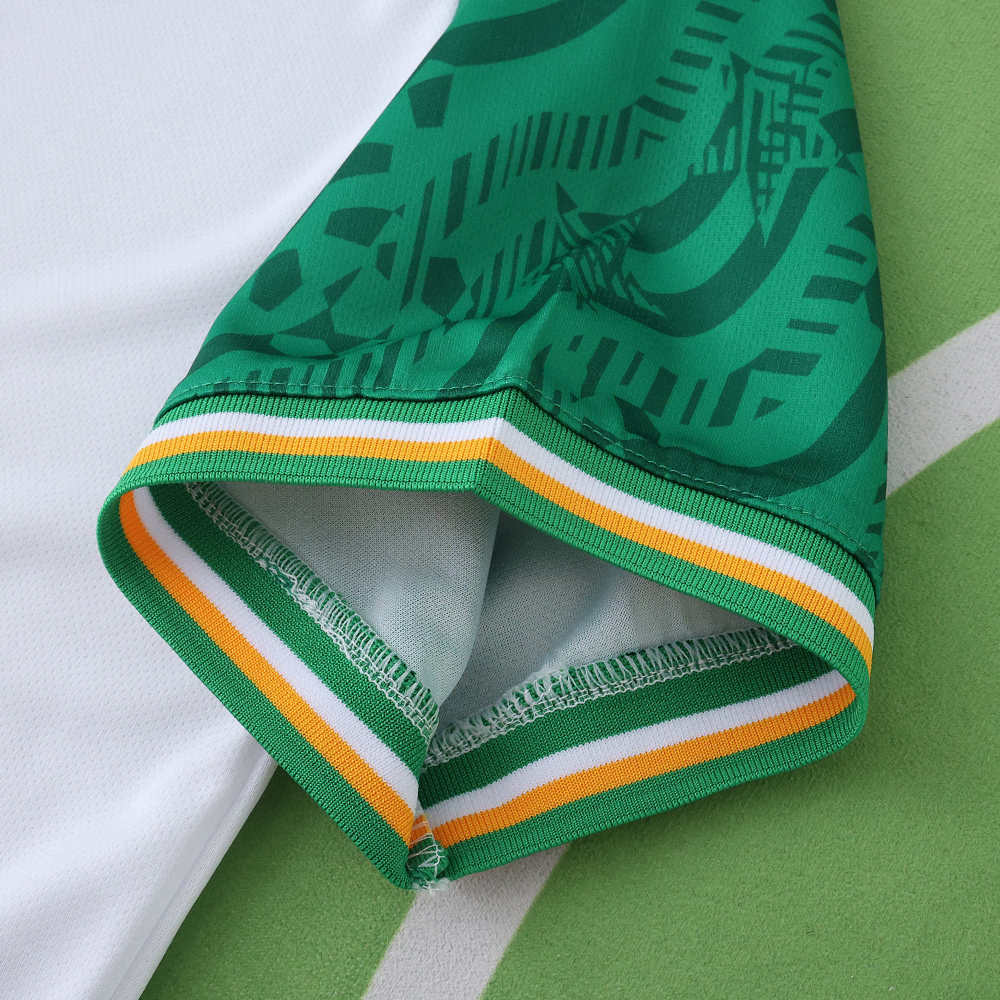 2526 season Ireland away Fan version