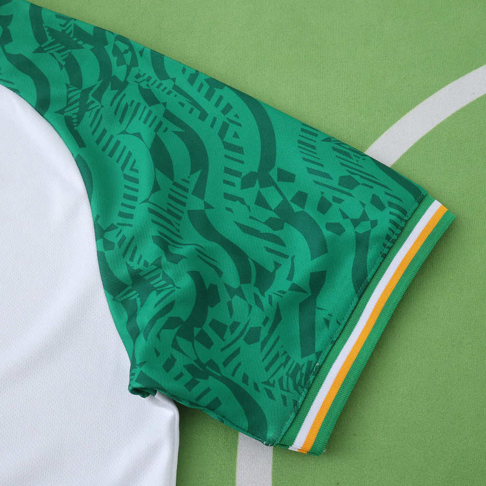 2526 season Ireland away Fan version