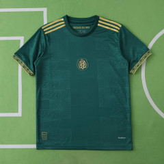 2526 season Mexico Concept version Fan version