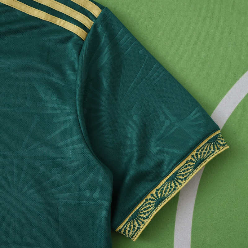 2526 season Mexico Concept version Fan version