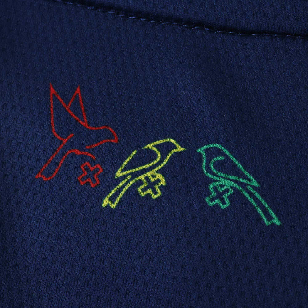 2526 season AFC Ajax Concept version Fan version