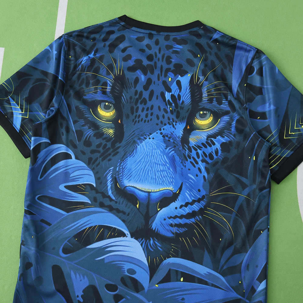 2526 season Brazil Concept version Fan version