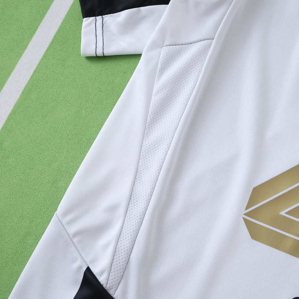 2425 season Newcastle United F.C. home  Fan version