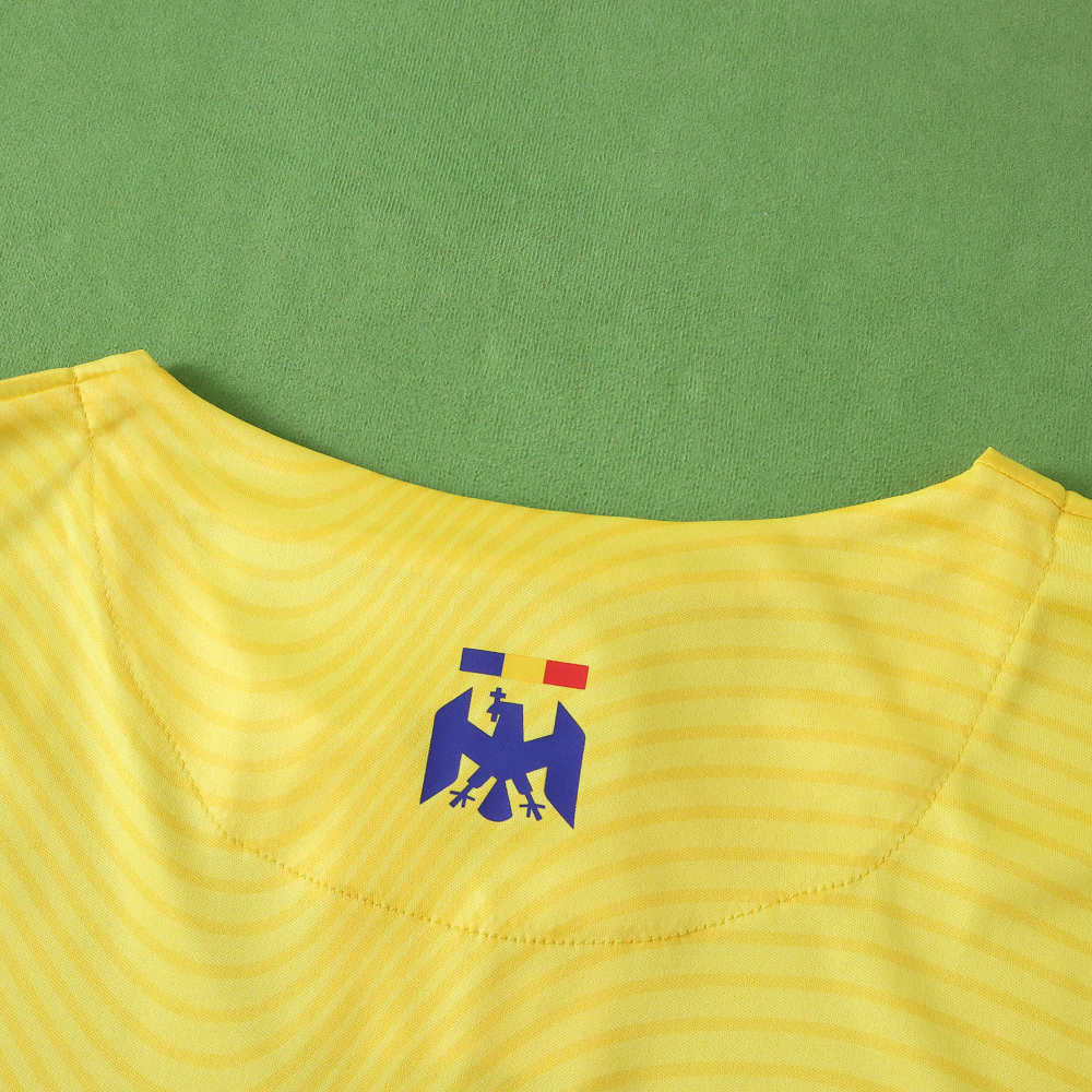 2526 season Romania home Fan version