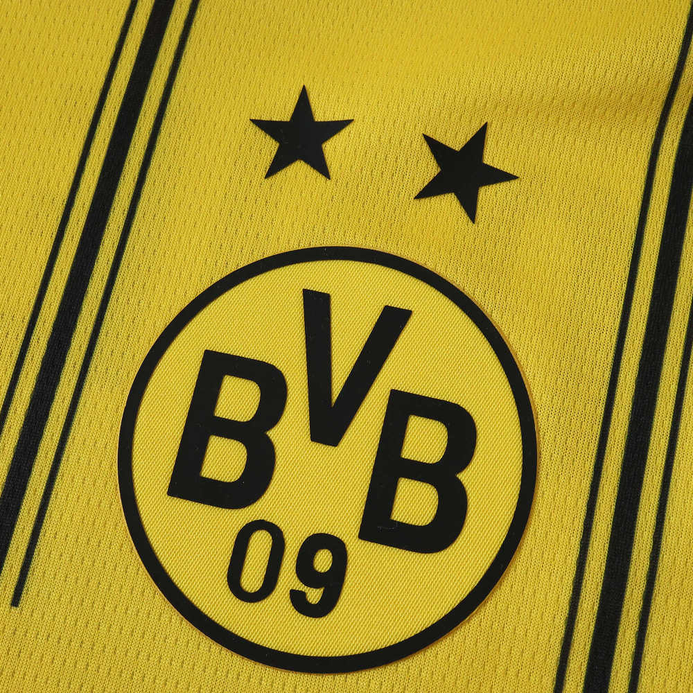 2526 season Borussia Dortmund Concept version Fan version