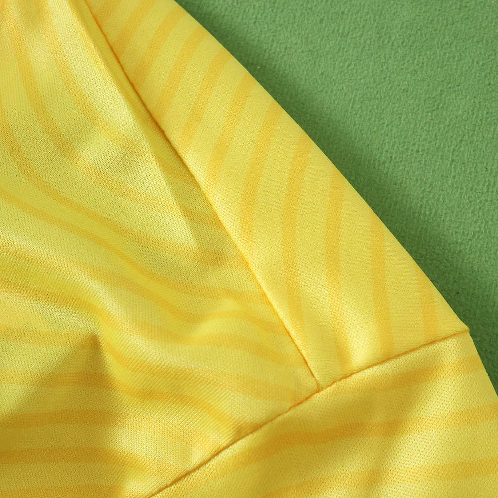 2526 season Romania home Fan version