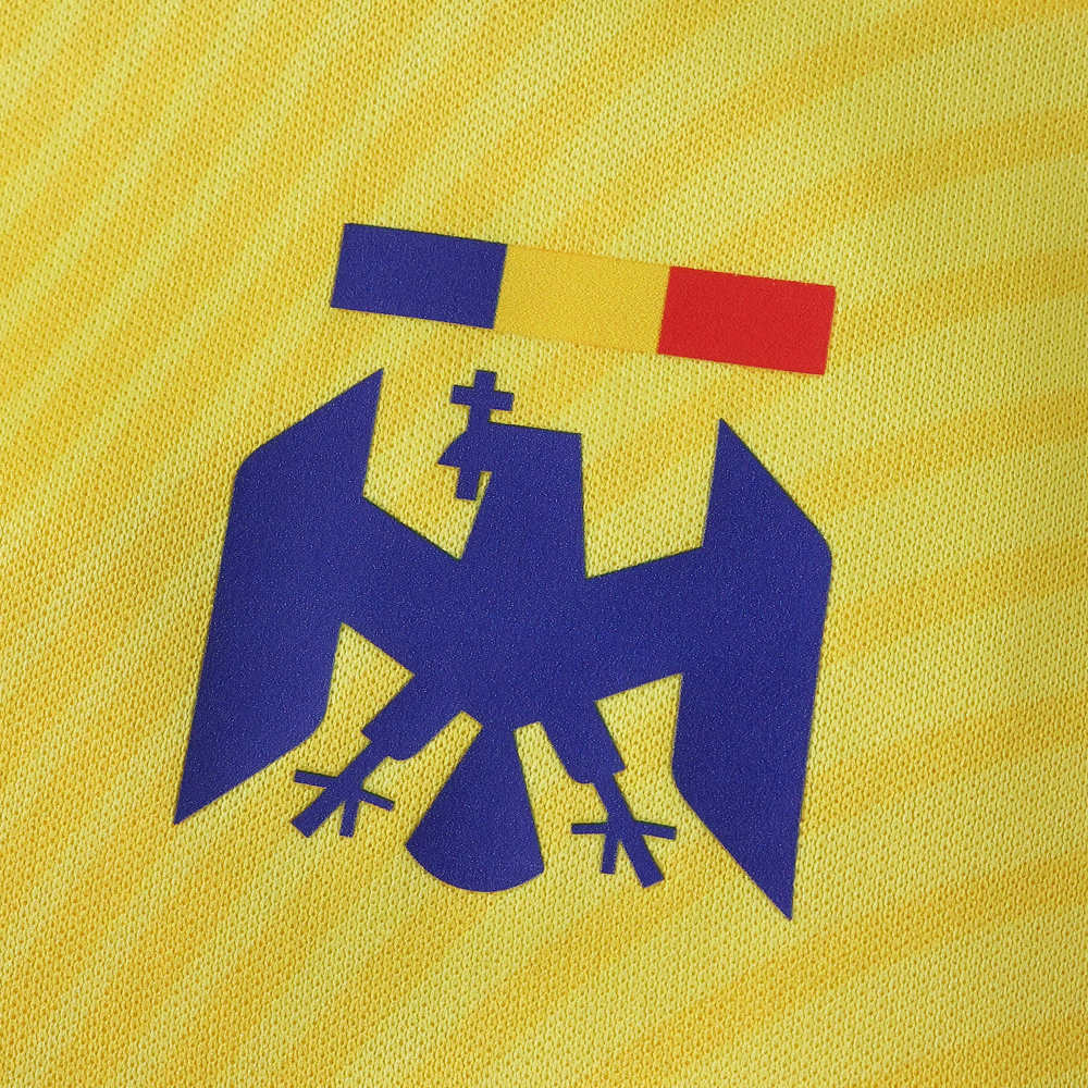2526 season Romania home Fan version