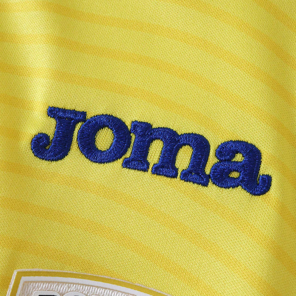 2526 season Romania home Fan version