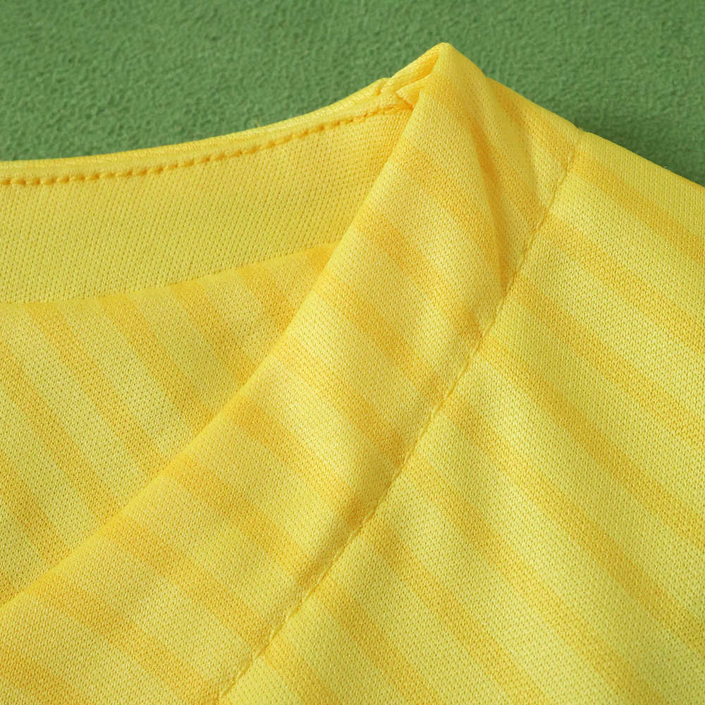2526 season Romania home Fan version