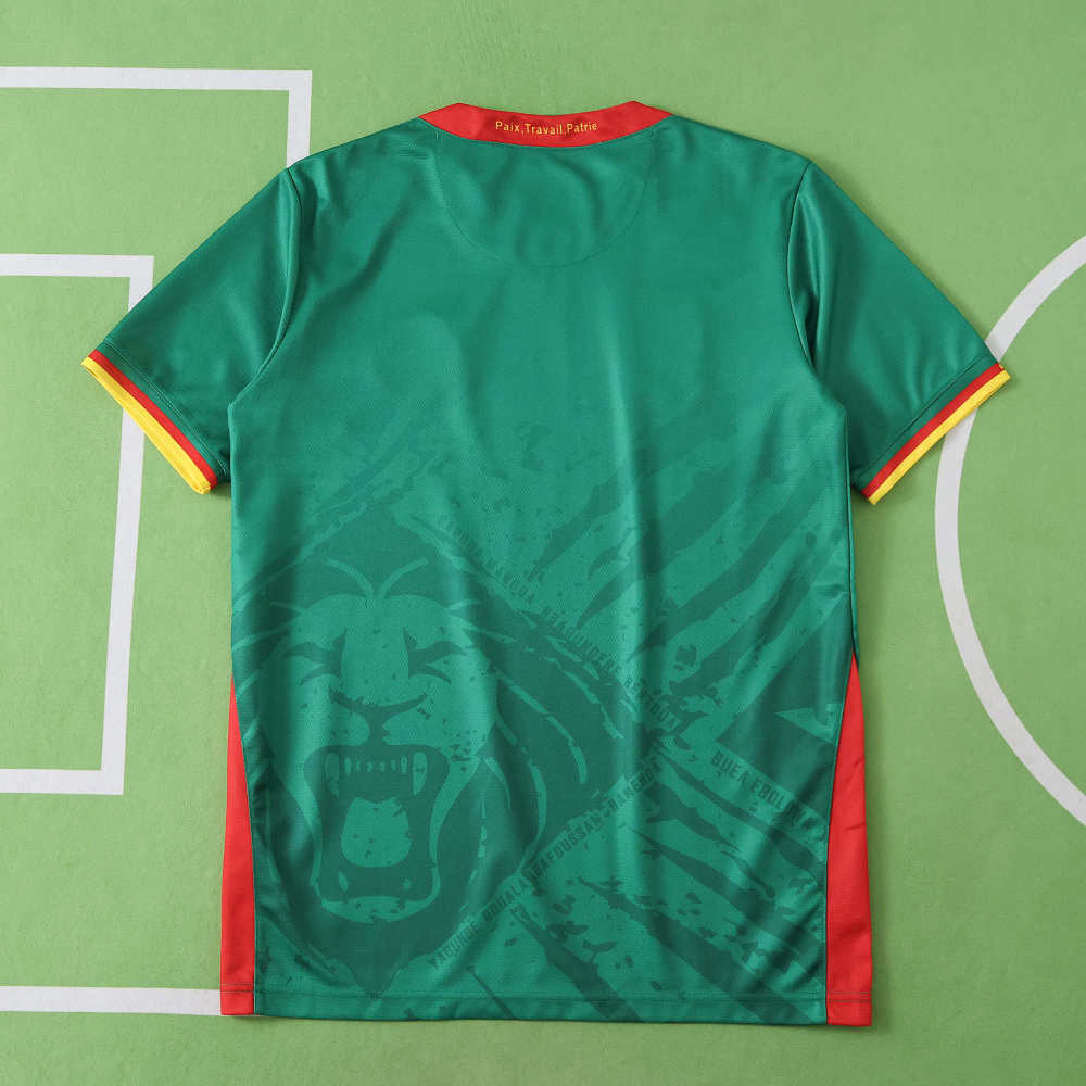 2526 season Cameroon home Fan version