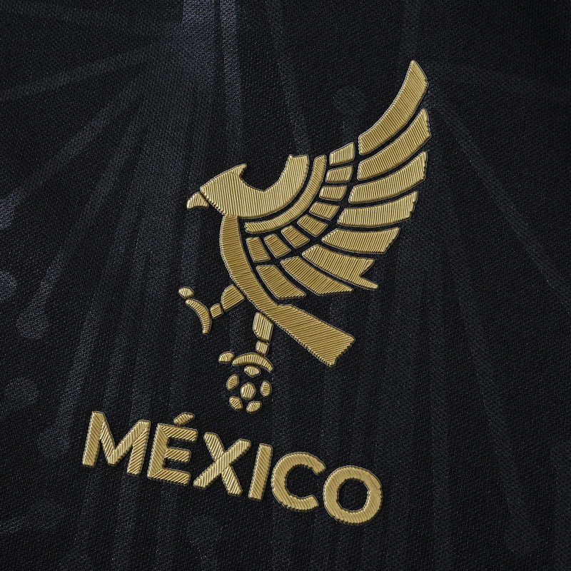 2526 season Mexico Concept version Fan version