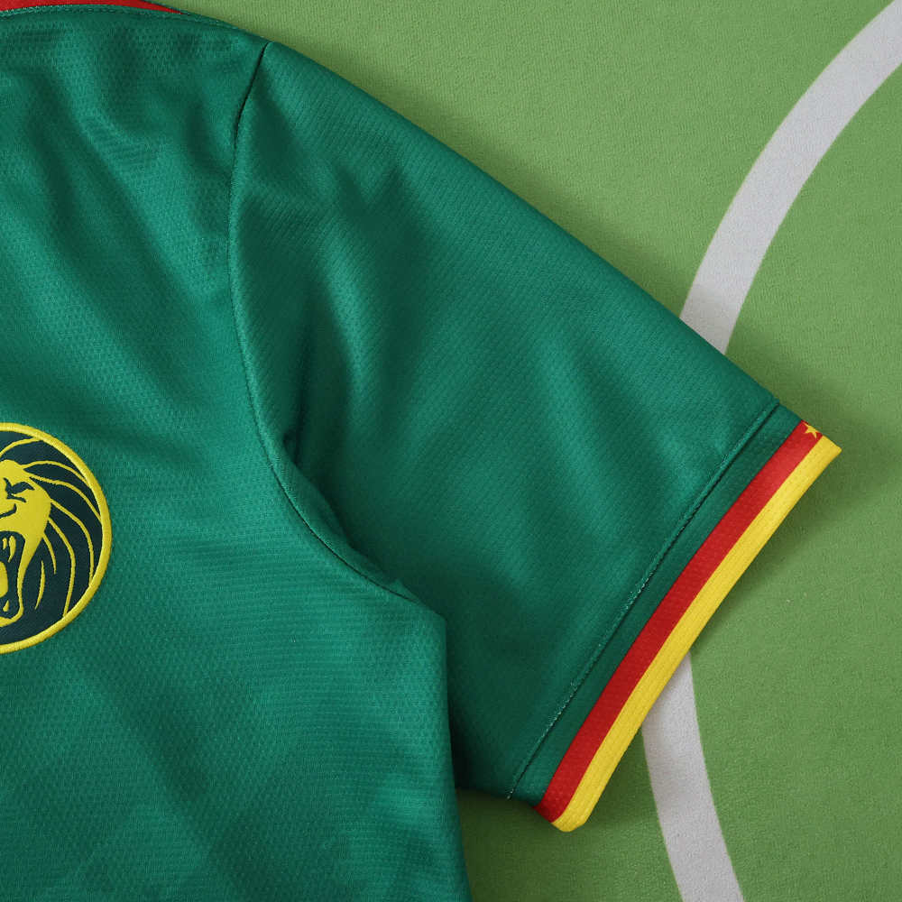 2526 season Cameroon home Fan version