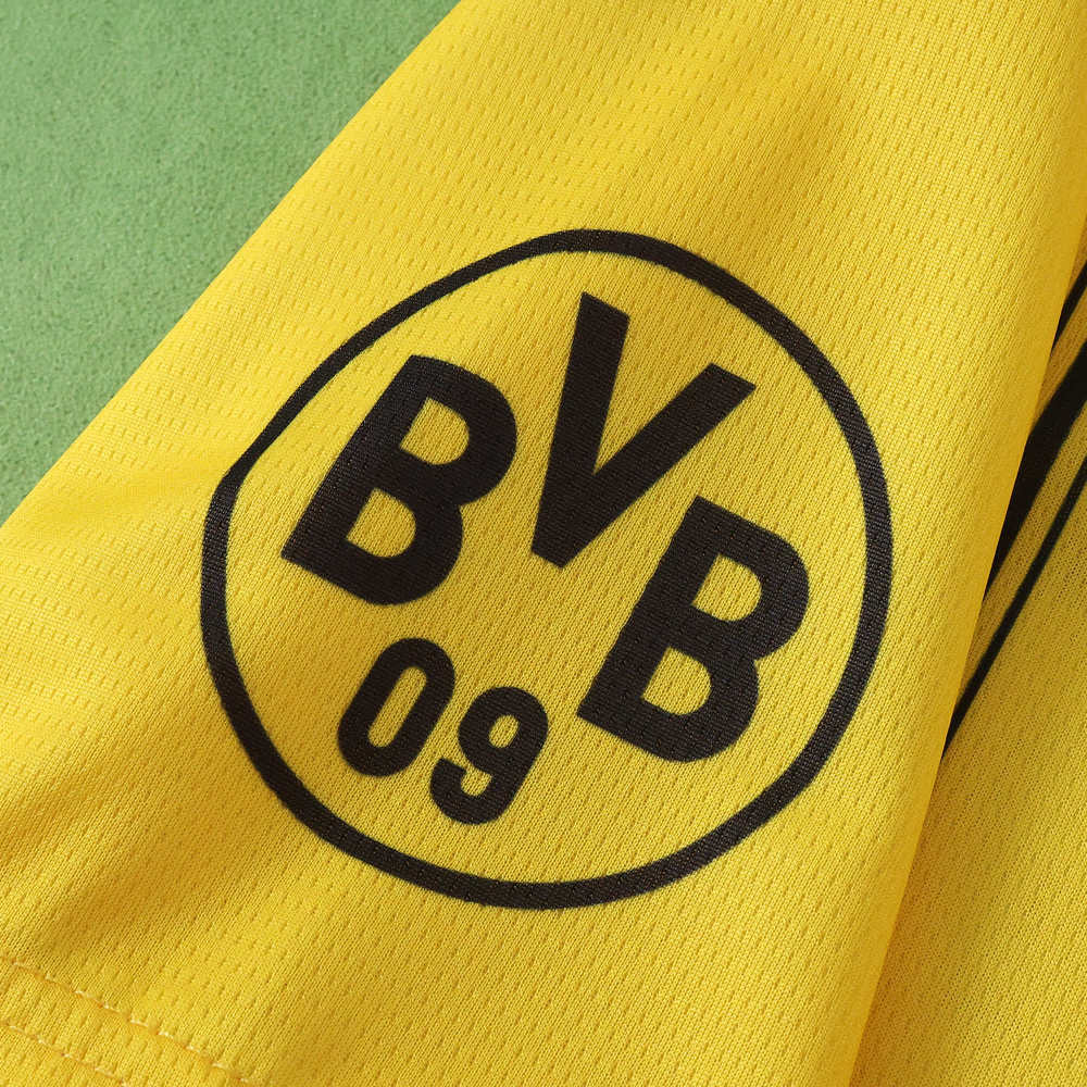 2526 season Borussia Dortmund Concept version Fan version