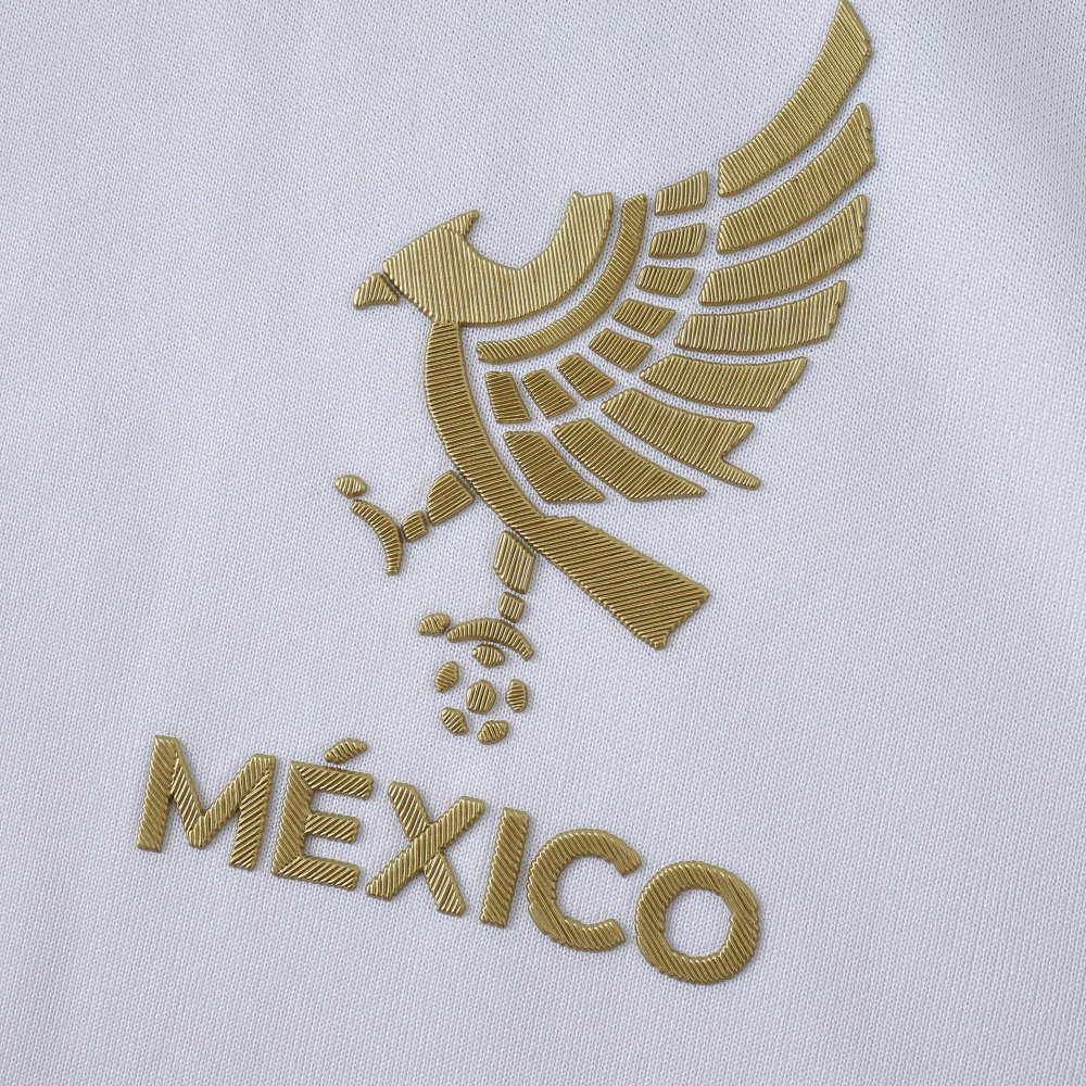2526 season Mexico Concept version Fan version