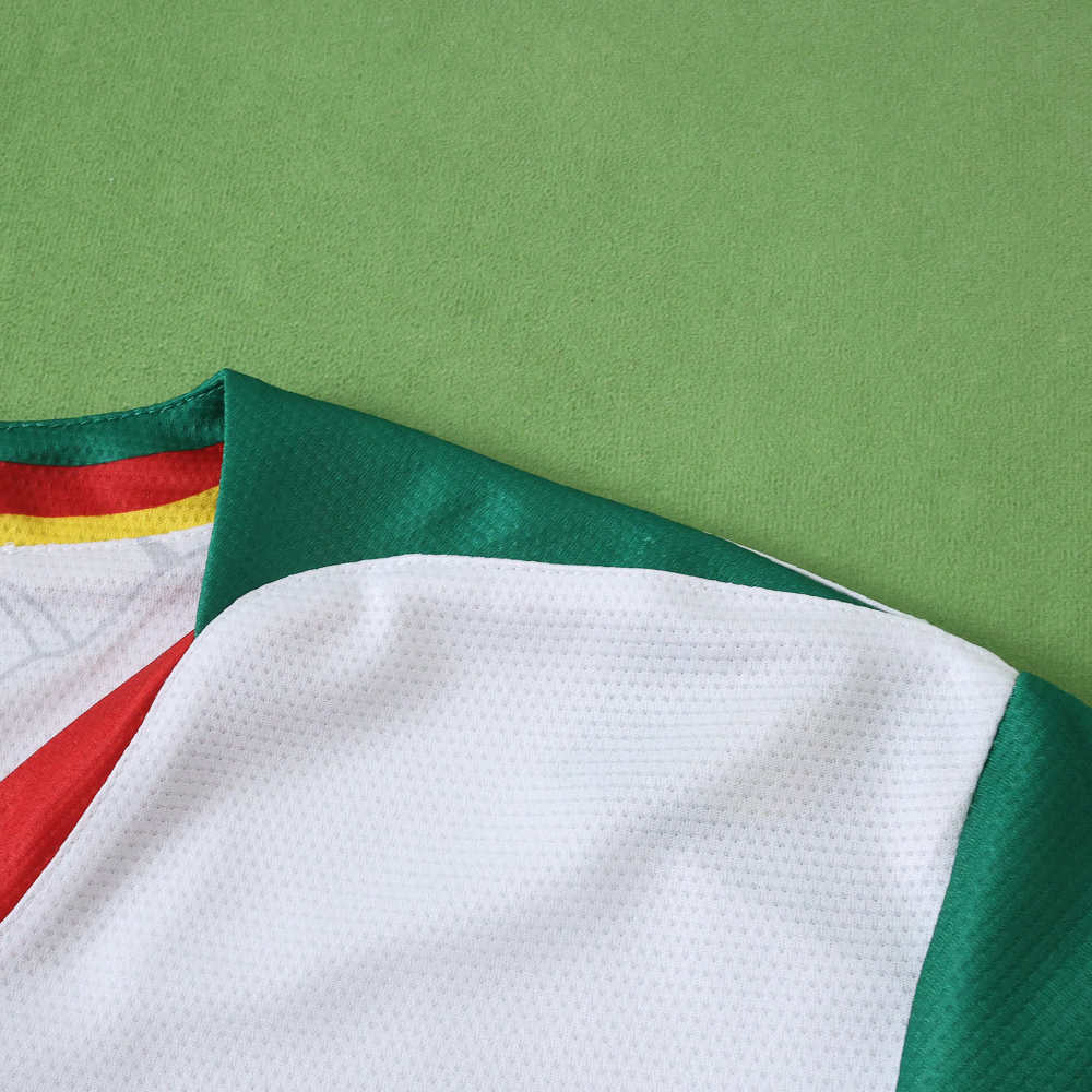 2526 season Cameroon third Fan version