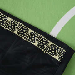 2526 season Mexico Concept version Fan version