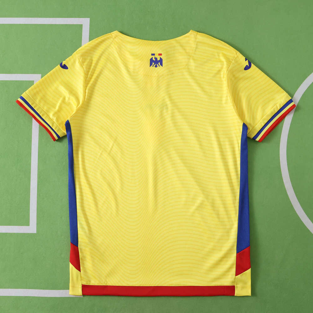 2526 season Romania home Fan version