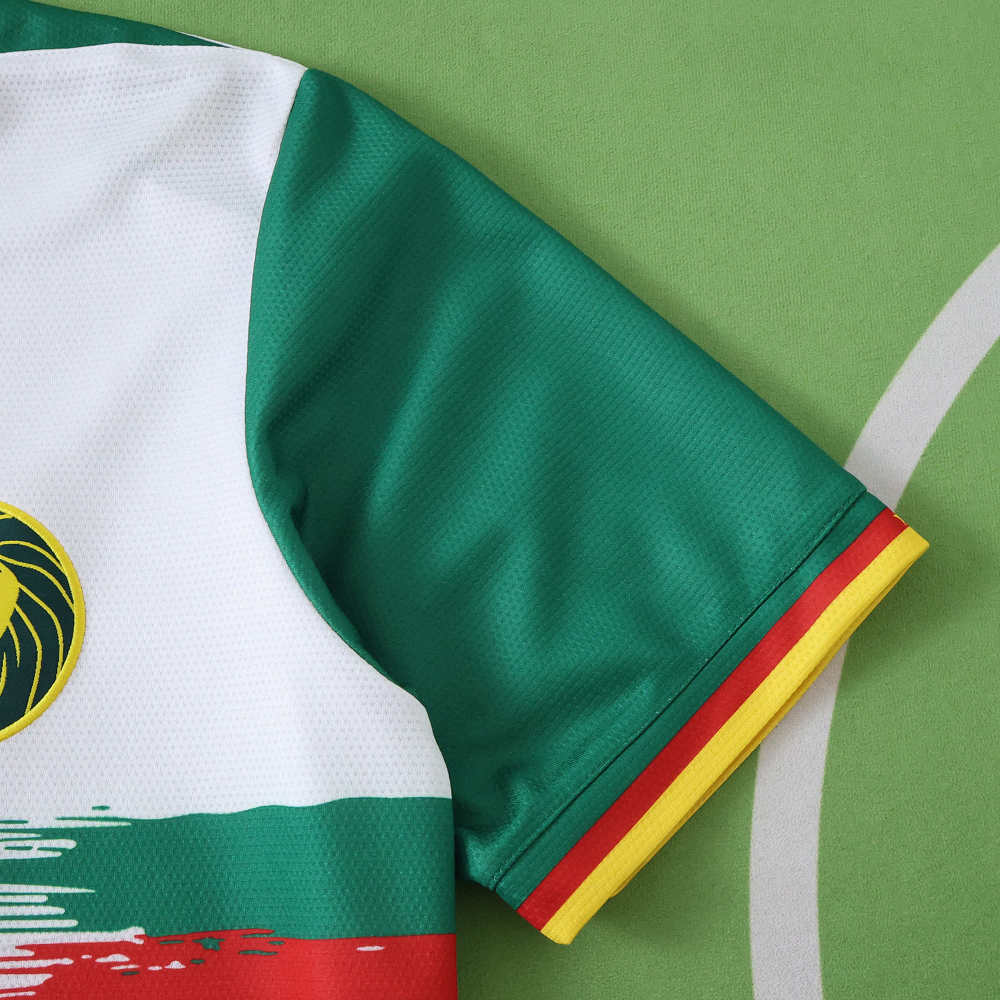 2526 season Cameroon third Fan version