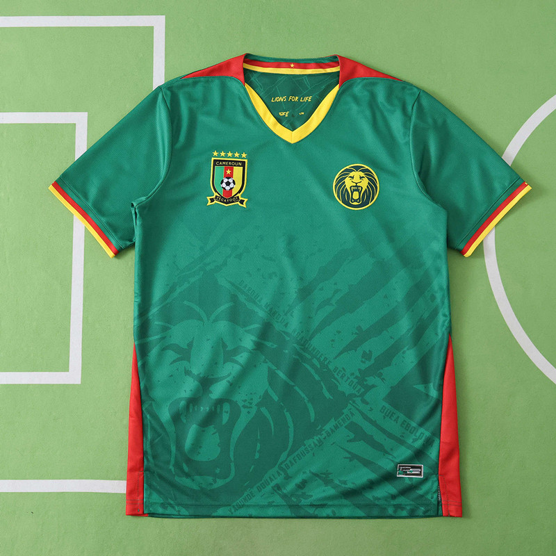 2526 season Cameroon home Fan version