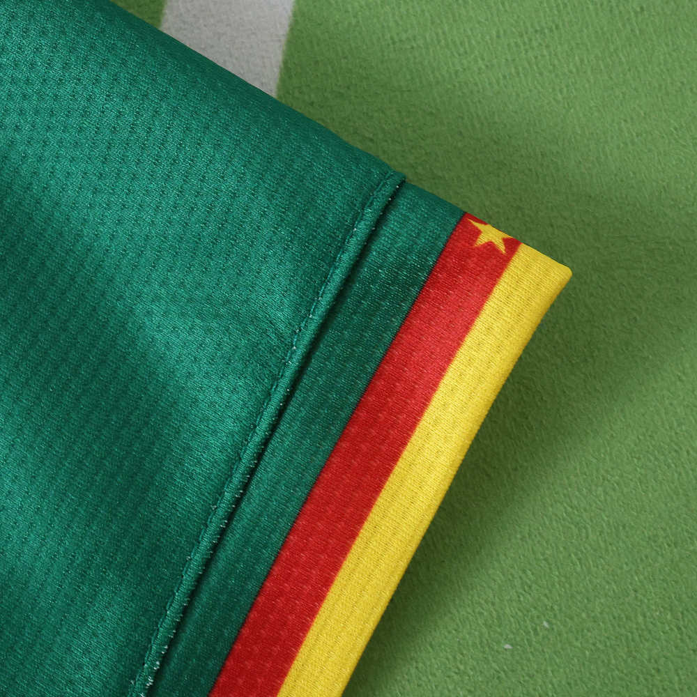 2526 season Cameroon home Fan version